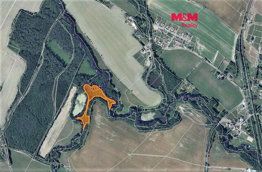 Prodej lesa 8570 m²